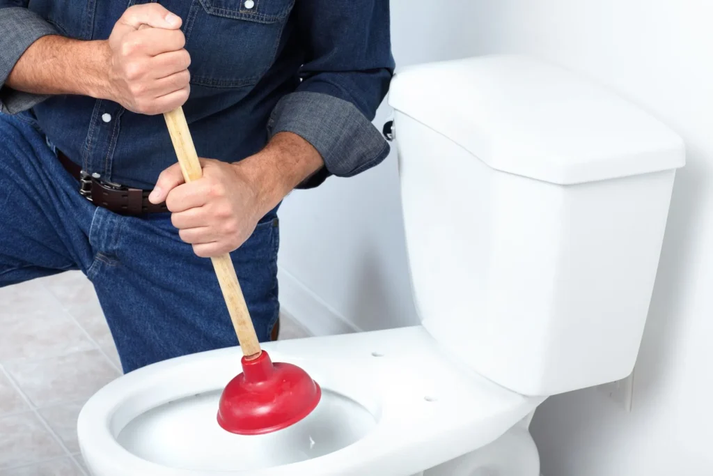 clogged-toilets